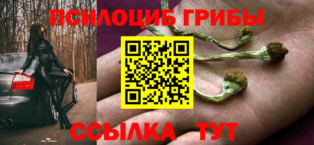 Псилоцибиновые грибы MAGIC MUSHROOMS Усолье-Сибирское