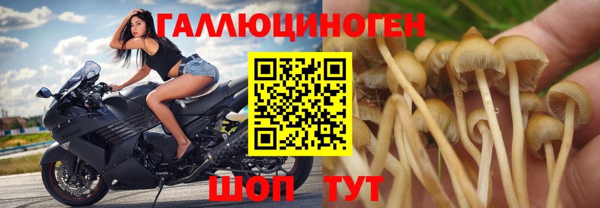 Усолье-Сибирское  Галлюциногенные грибы ЛСД  Галлюциногенные грибы Psilocybine cubensis  Вход с VPN 